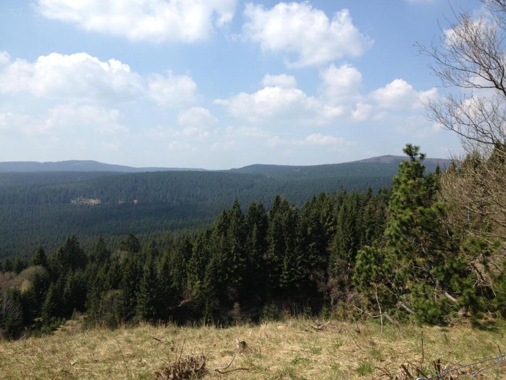 Hostel & Hotel Braunlage Εξωτερικό φωτογραφία