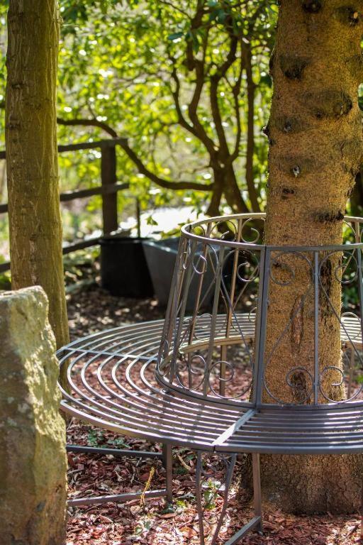 Hostel & Hotel Braunlage Εξωτερικό φωτογραφία